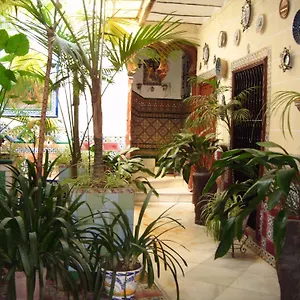 https://pension-san-andres-i.hotelsincadiz.net