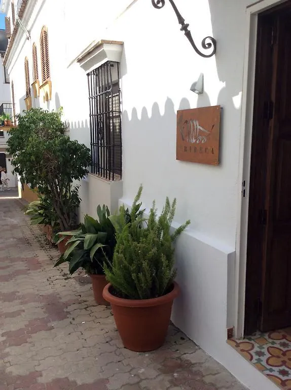 Bed & Breakfast Tribeca B&B Boutique Marbella Spanje